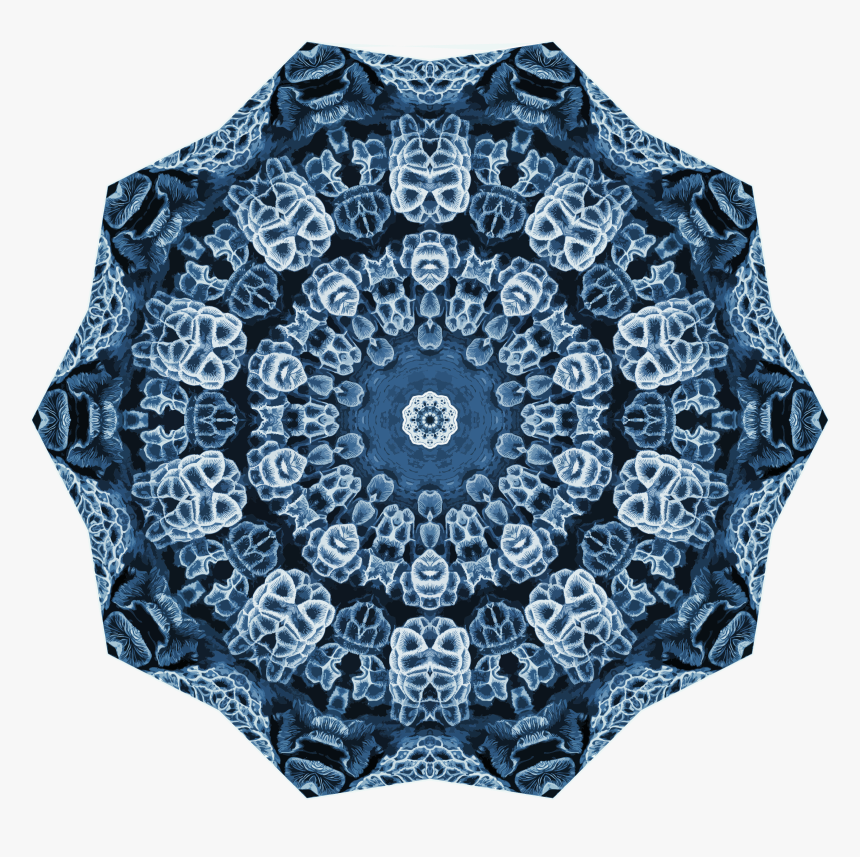 Hexacoralla 15 Clip Arts - Lace, HD Png Download, Free Download