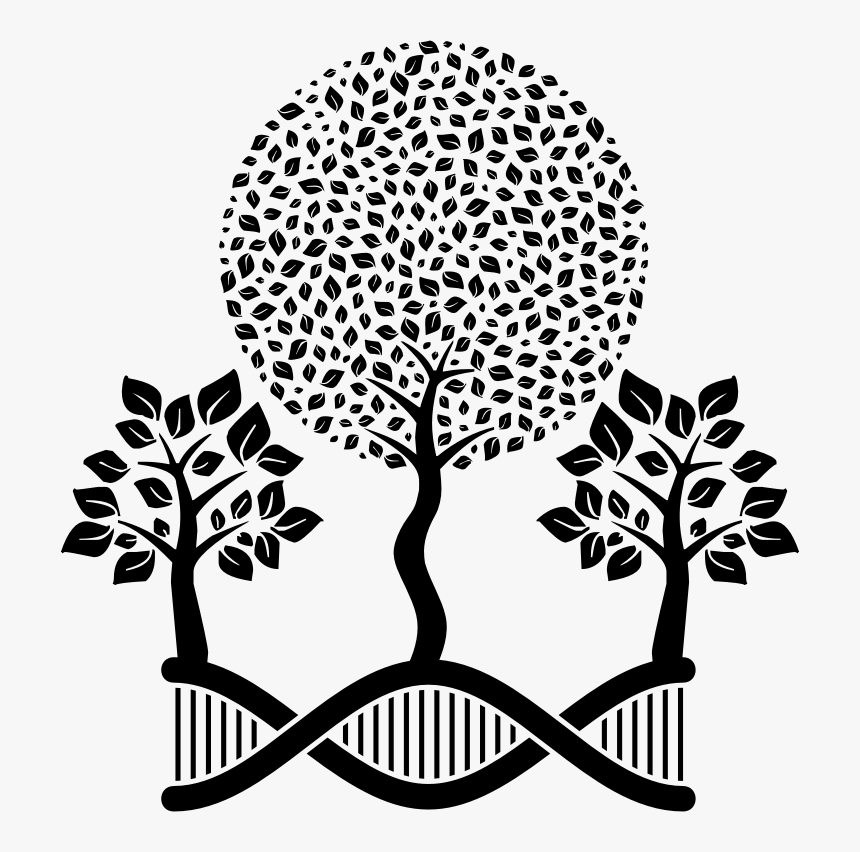 Dna Helix Arboreal - Cute Icons In Black And White, HD Png Download, Free Download