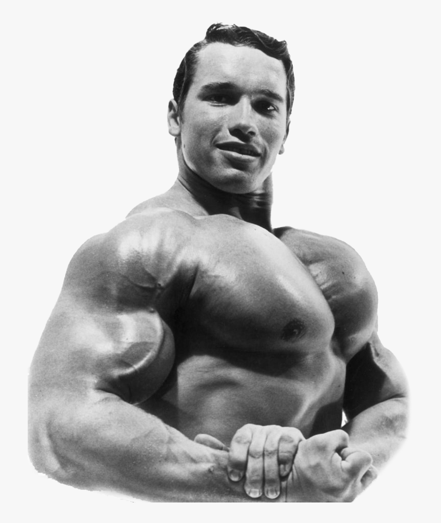 Arnold Schwarzenegger Bodybuilding Png Picture - Schwarzenegger Son, Transparent Png, Free Download