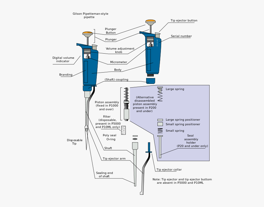 Diagram Of A Pipette, HD Png Download, Free Download