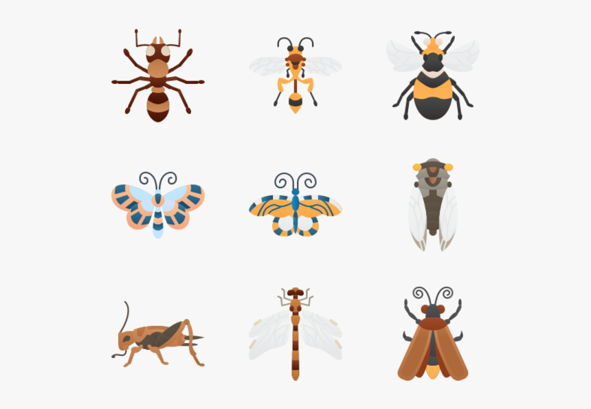 Honeybee, HD Png Download, Free Download