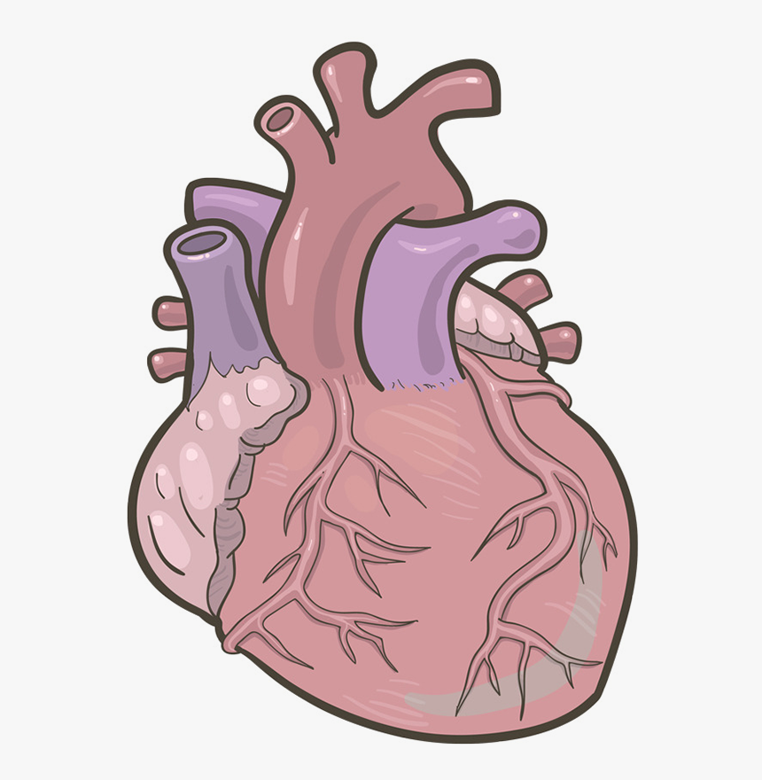 Free Heart Clipart, Heart Background Images, Heart - Illustration, HD Png Download, Free Download