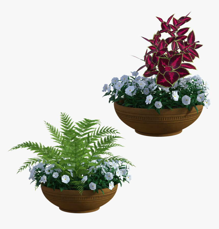 Flowerpot, HD Png Download, Free Download