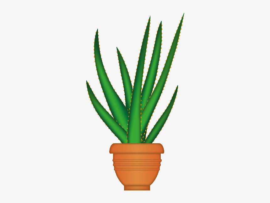 Flowerpot, HD Png Download, Free Download