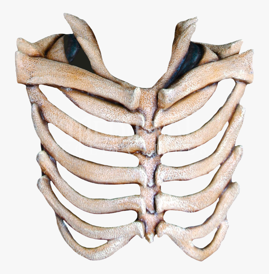 Mask Rib Cage Human Skeleton Skull - Transparent Rib Cage Png, Png Download, Free Download