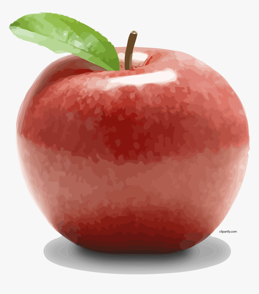 Realistic Apple Clipart, HD Png Download, Free Download