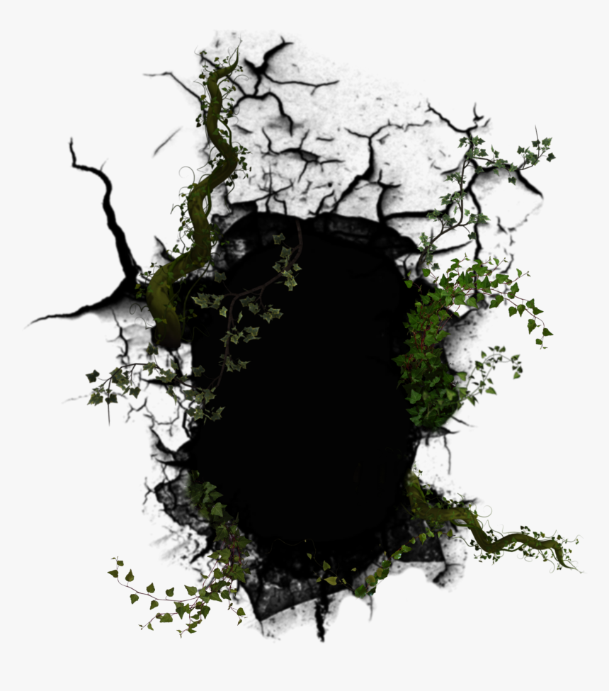 #plants #ivyvine #ivy #vines #creepyplants #thorns - Transparent Broken Hole Png, Png Download, Free Download