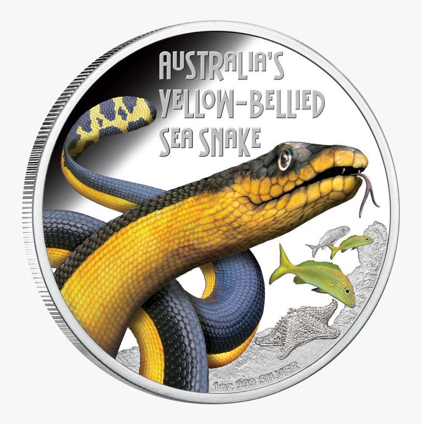 Serpent, HD Png Download, Free Download