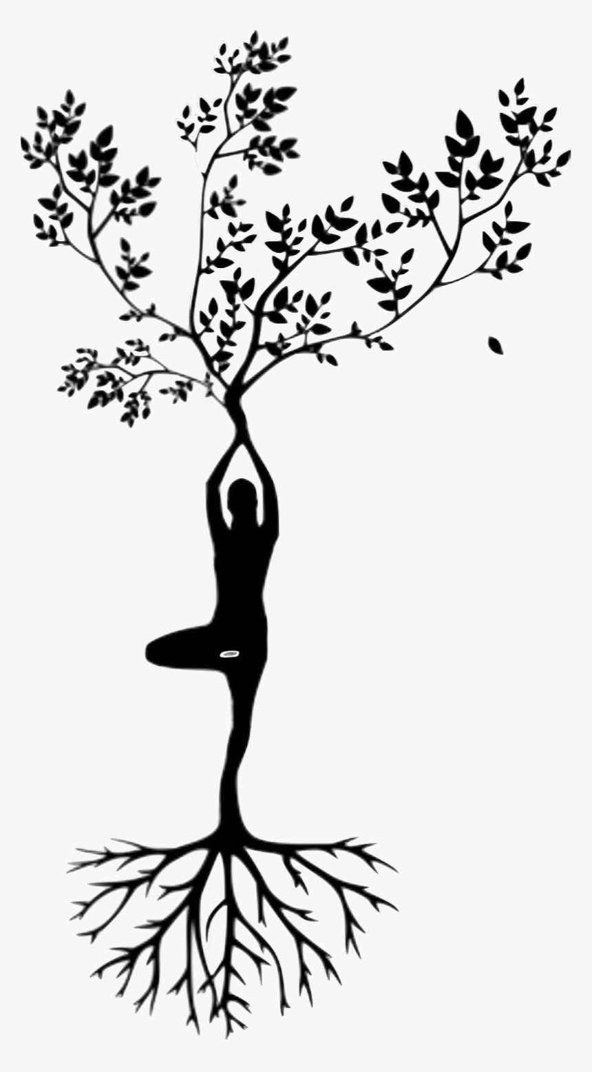 792 7928194 yoga pose and tree of life drawing yoga