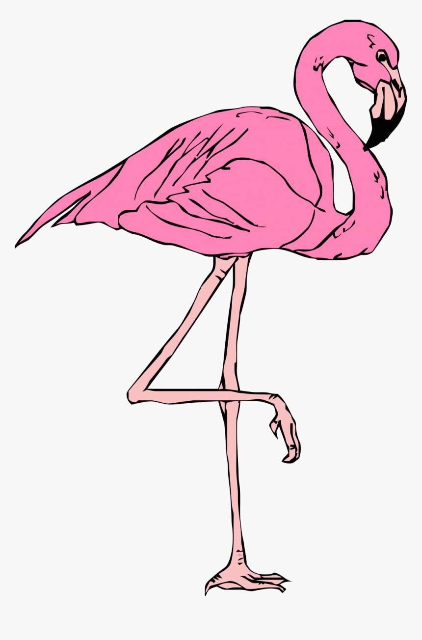 Cartoon Clipart Flamingo, HD Png Download, Free Download