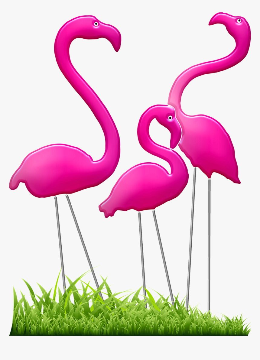 76+ Gambar Burung Flamingo Kartun HD