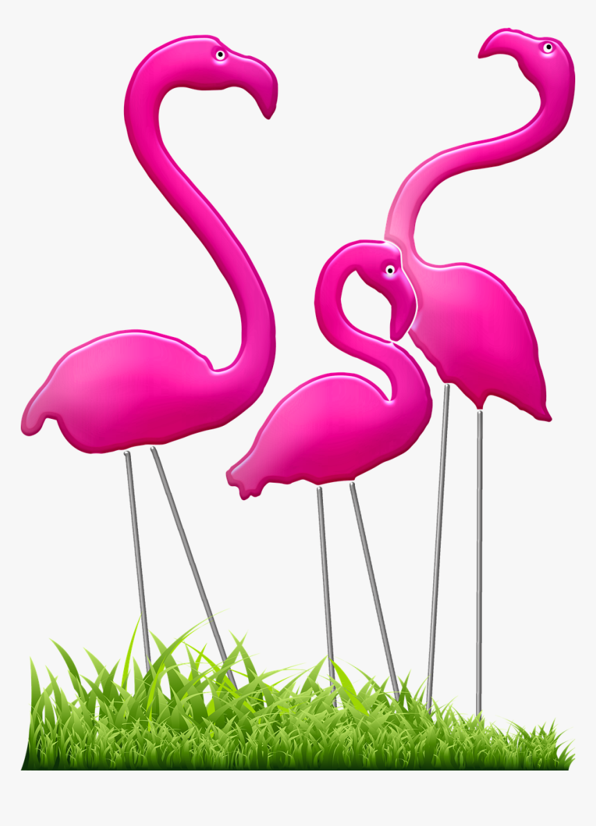 Gambar Kartun Burung Flamingo, HD Png Download, Free Download