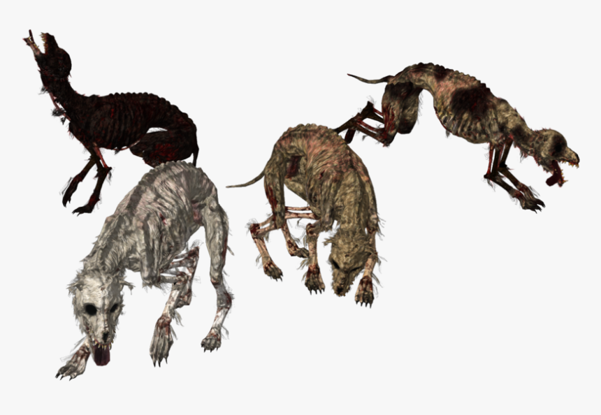 Undead Dogs Xps Mmd Png By Tokami Fuko-dafmtzd - Portable Network Graphics, Transparent Png, Free Download