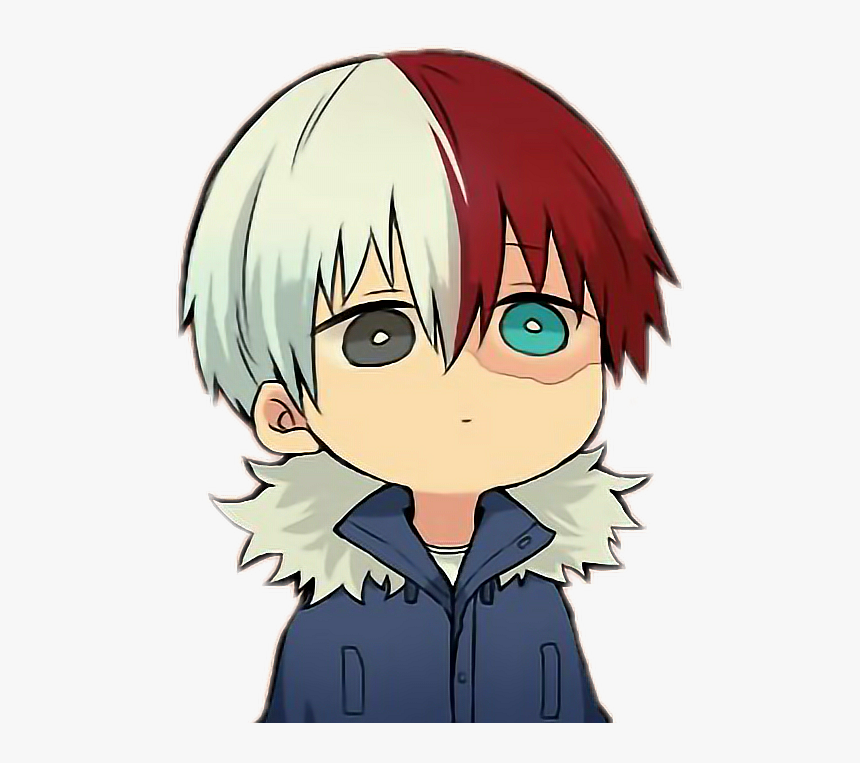 Shoto Todoroki Smiling Anime