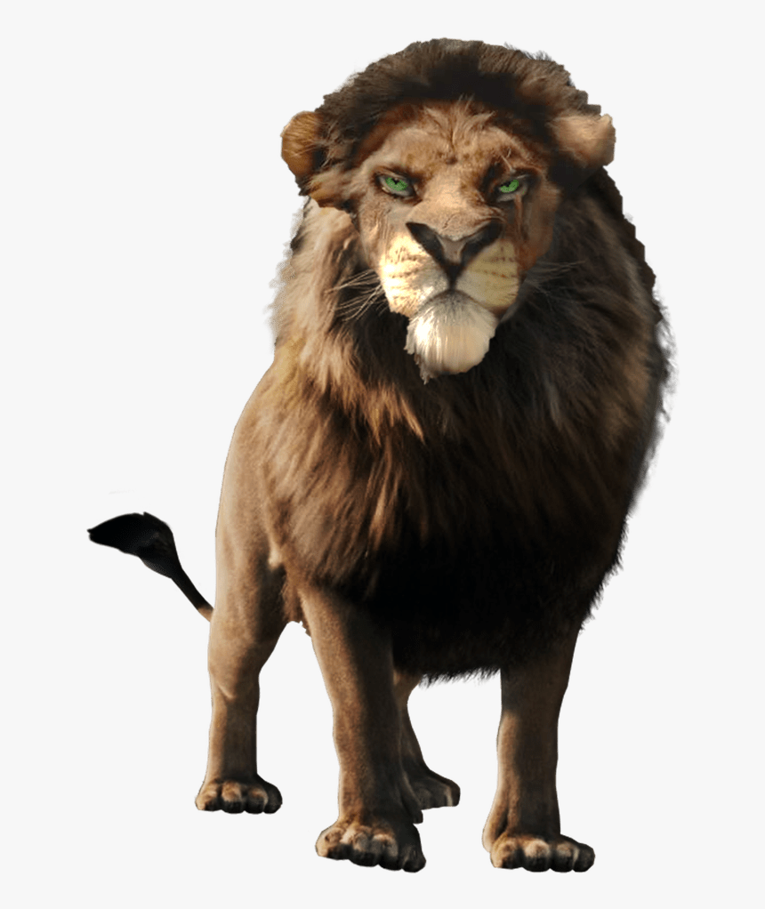 Transparent Scar Lion King Png - Lion King Scar 2018, Png Download, Free Download