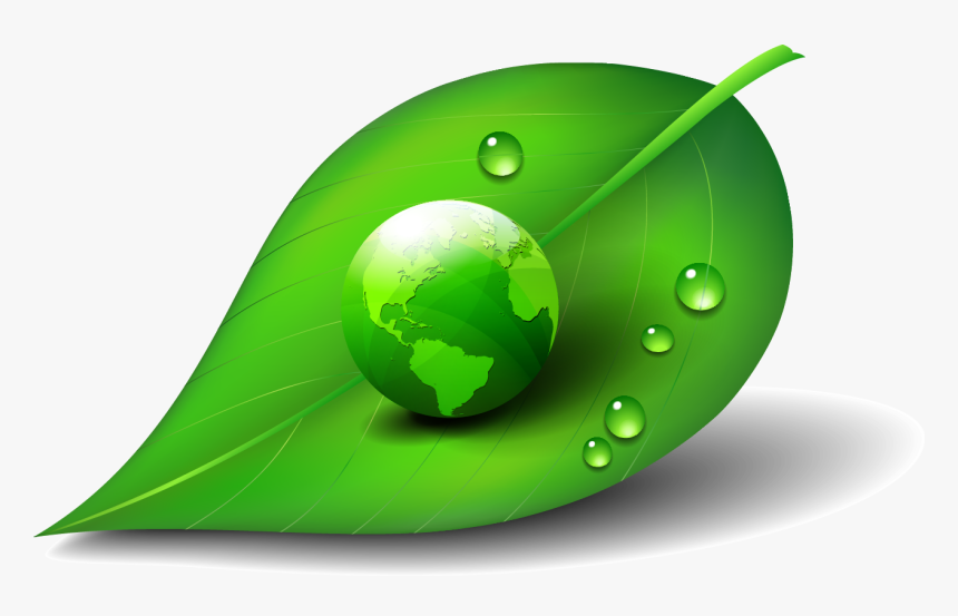 Green World On Leaf - Dew Drop In Leaf Png, Transparent Png, Free Download