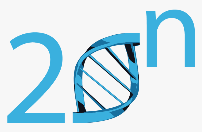 20n Logo, HD Png Download, Free Download