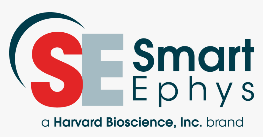 Graphic Design, HD Png Download, Free Download