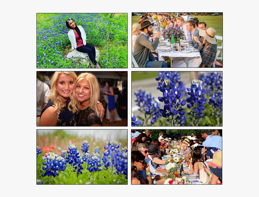 Fredericksburg Tx Lobster Fest, HD Png Download, Free Download