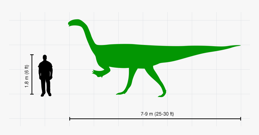 Dinosaurs Svg The Good Dinosaur - 30 Ft Size Comparison, HD Png Download, Free Download