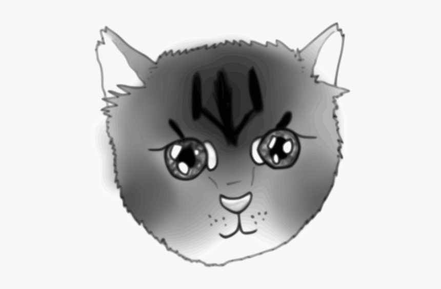A Kitten Face - Cat, HD Png Download, Free Download