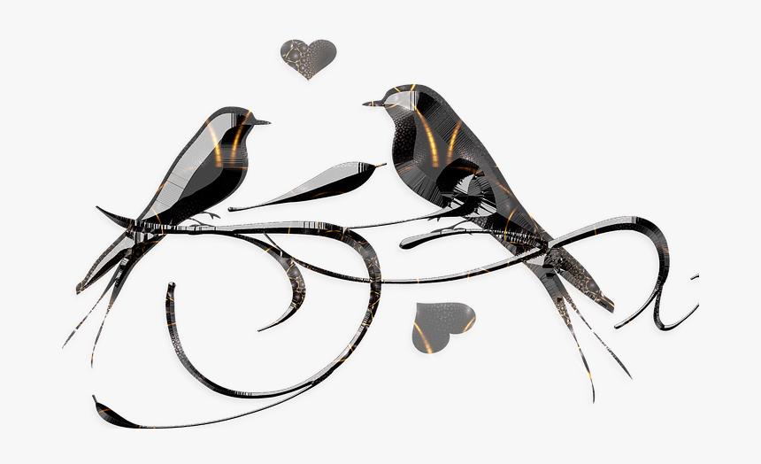 Draw Love Birds In Nest, HD Png Download, Free Download