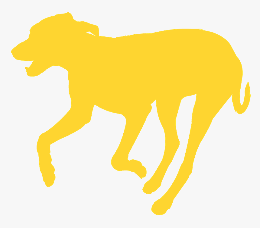 Dog, HD Png Download, Free Download