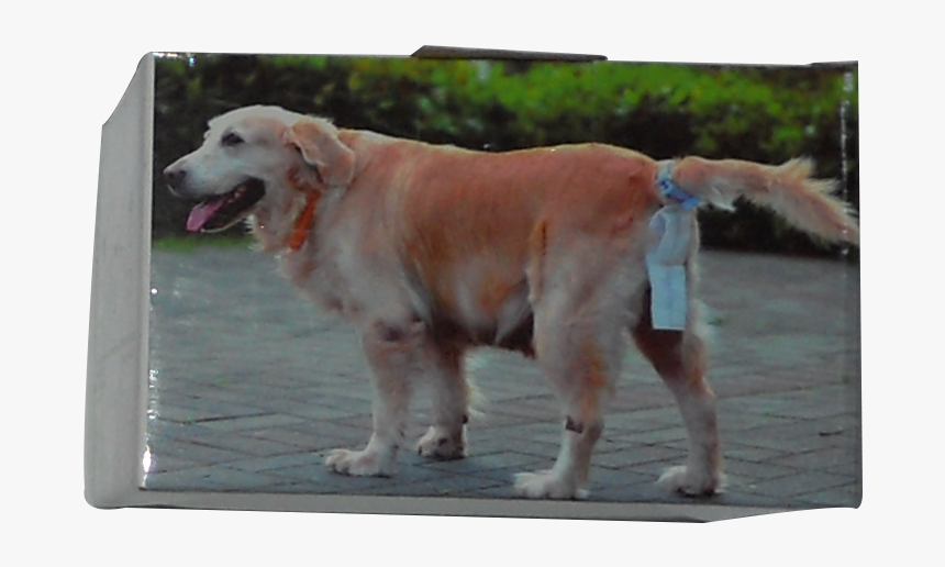 Dog Tail Poop Bag, HD Png Download, Free Download