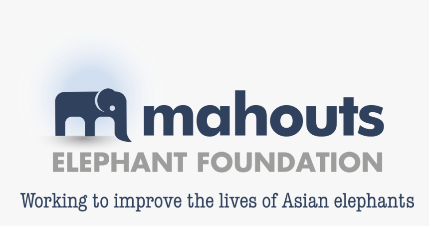 Mahouts Foundation Logo Strap - Head First, HD Png Download, Free Download