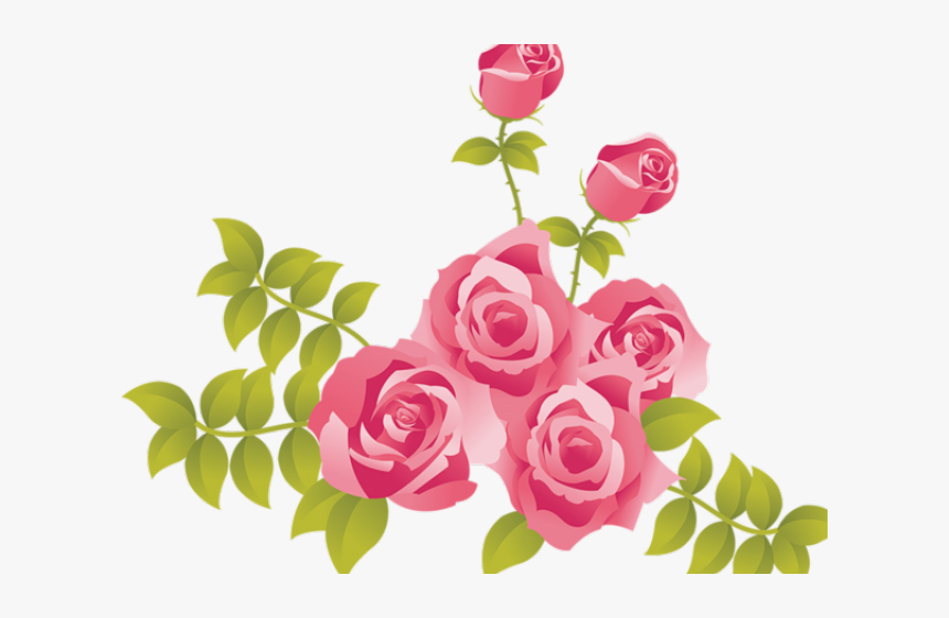 Transparent Pink Floral Clipart - Pink Roses Clipart Png, Png Download, Free Download