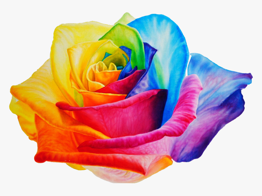 Rainbow Roses Clip Art