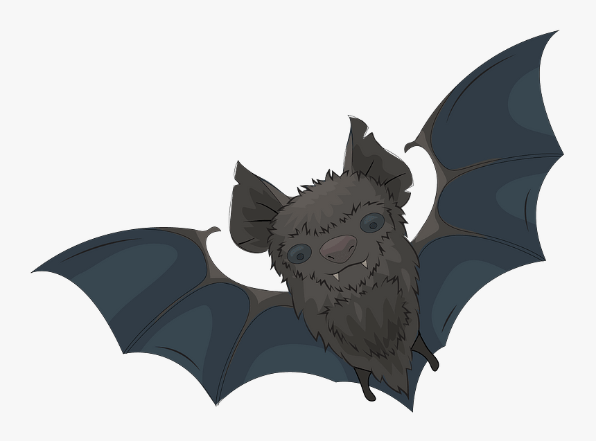 Bat Clipart - Cartoon, HD Png Download, Free Download