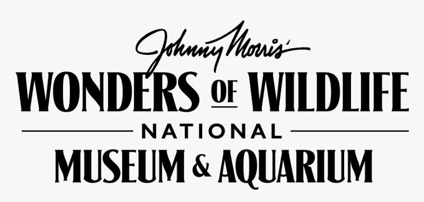 Johnny Morris - Bass Pro Shops, HD Png Download, Free Download