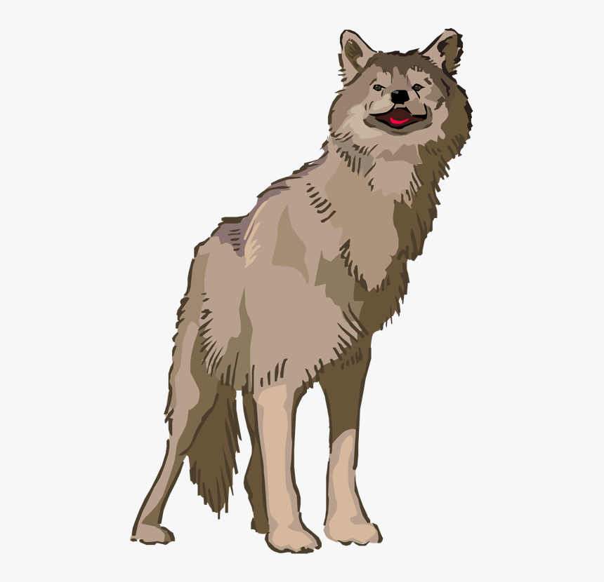 Transparent Anime Wolf Png - Mexican Wolf Clipart, Png Download, Free Download