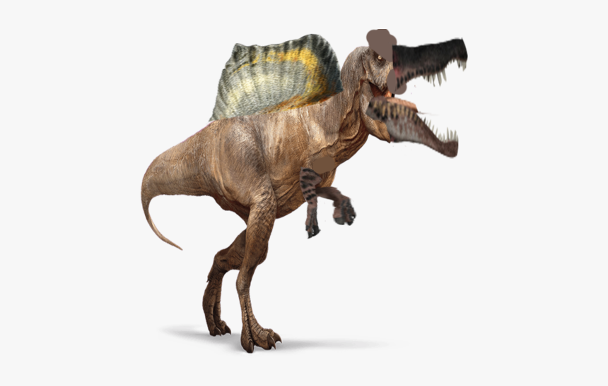 Spinosaurus Png Pic - Spinosaurus Png, Transparent Png, Free Download