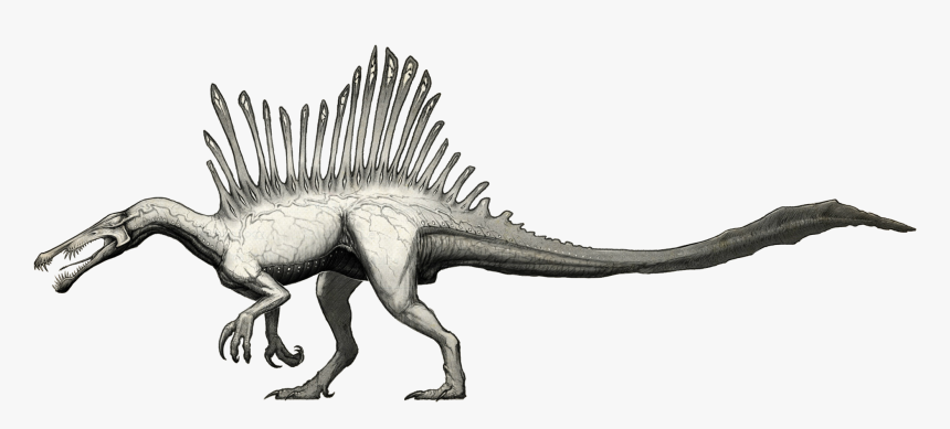 Spinosaurus , Png Download, Transparent Png, Free Download