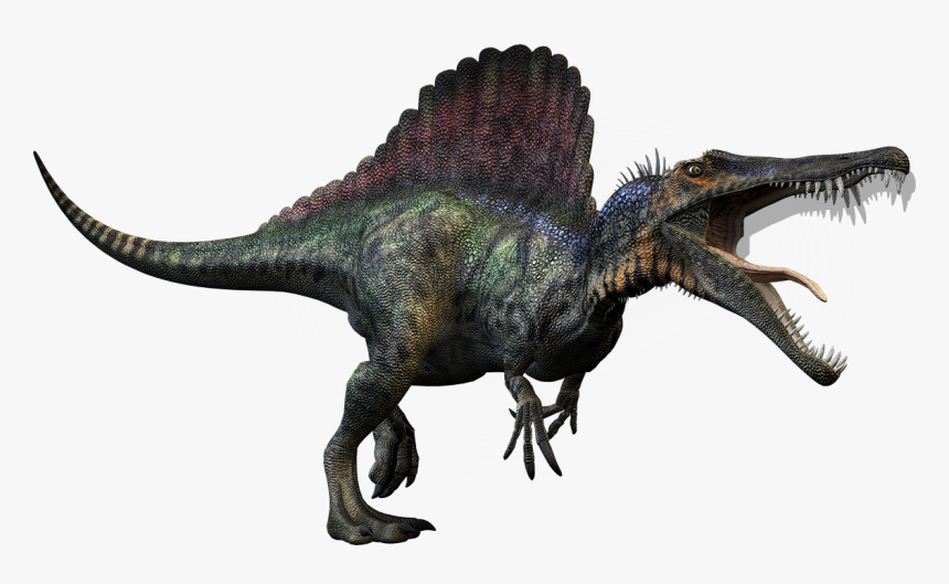 T Rex Spinosaurus Dinosaurs , Png Download - Dinosaurs Spinosaurus, Transparent Png, Free Download
