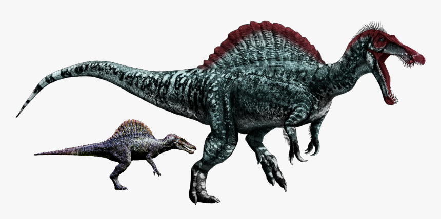 Fanmade Jurassic World Spinosaurus - Dinosaurs With Long Snouts, HD Png Download, Free Download