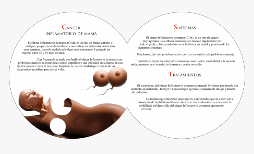 Folleto Cáncer De Mama / Brochure On Breast Cancer - Folletos Educativos Sobre Cancer De Mama, HD Png Download, Free Download