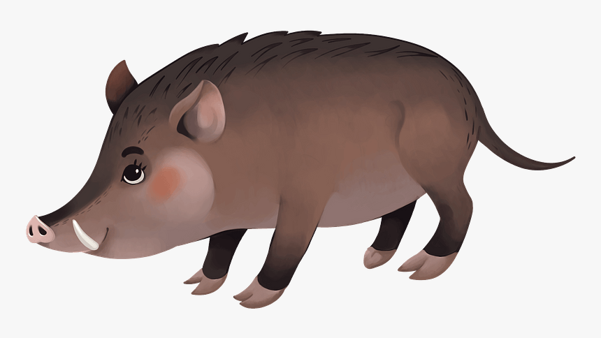 Wild Boar Clipart - Domestic Pig, HD Png Download, Free Download