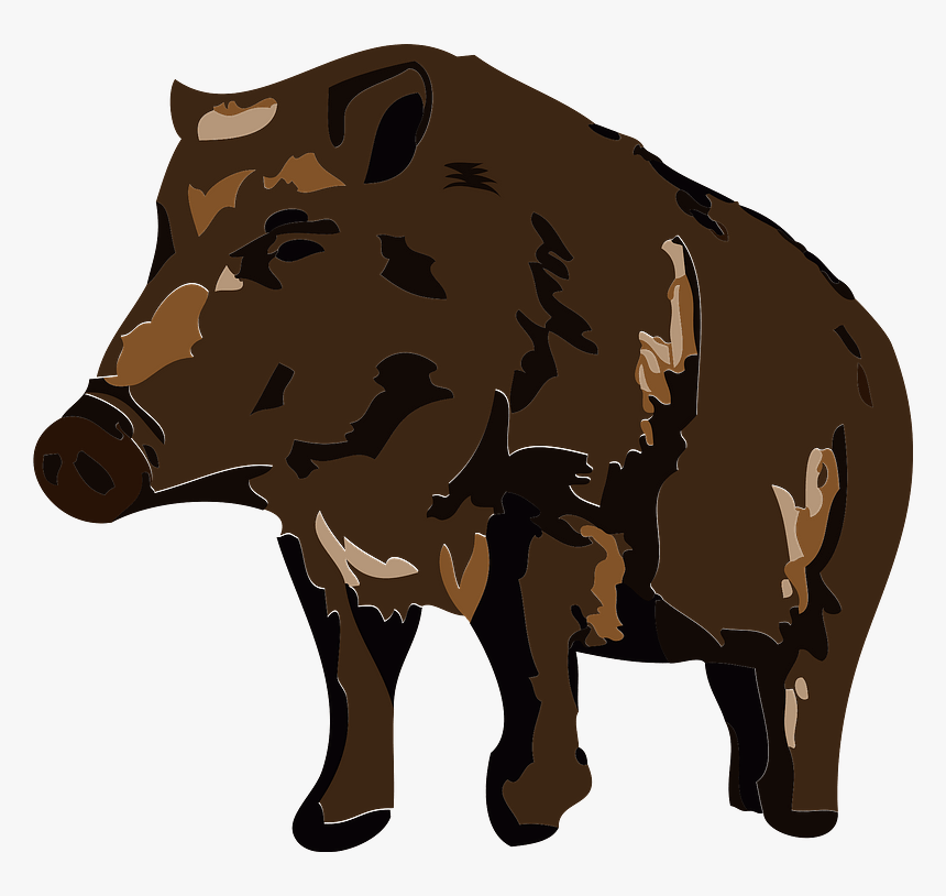 Wild Boar Animal Clipart - Boar, HD Png Download, Free Download