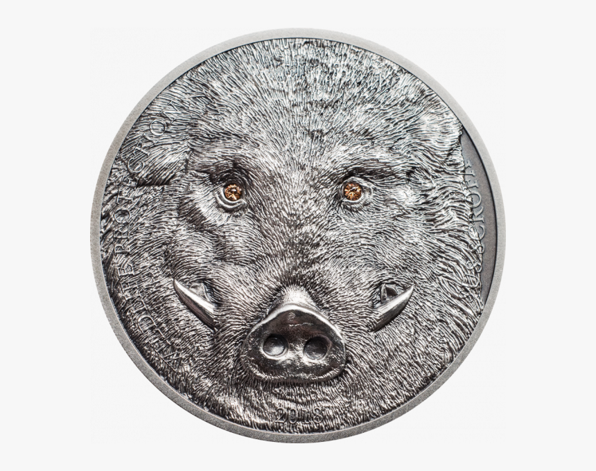 Wild Boar Sus Scrofa, Cit Coin Invest Trust Ag / B - 蒙古 野豬 銀幣, HD Png Download, Free Download