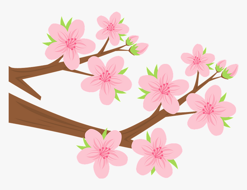 Peach Blossom Clipart ひな祭り 桃 の 花 イラスト Hd Png Download Kindpng