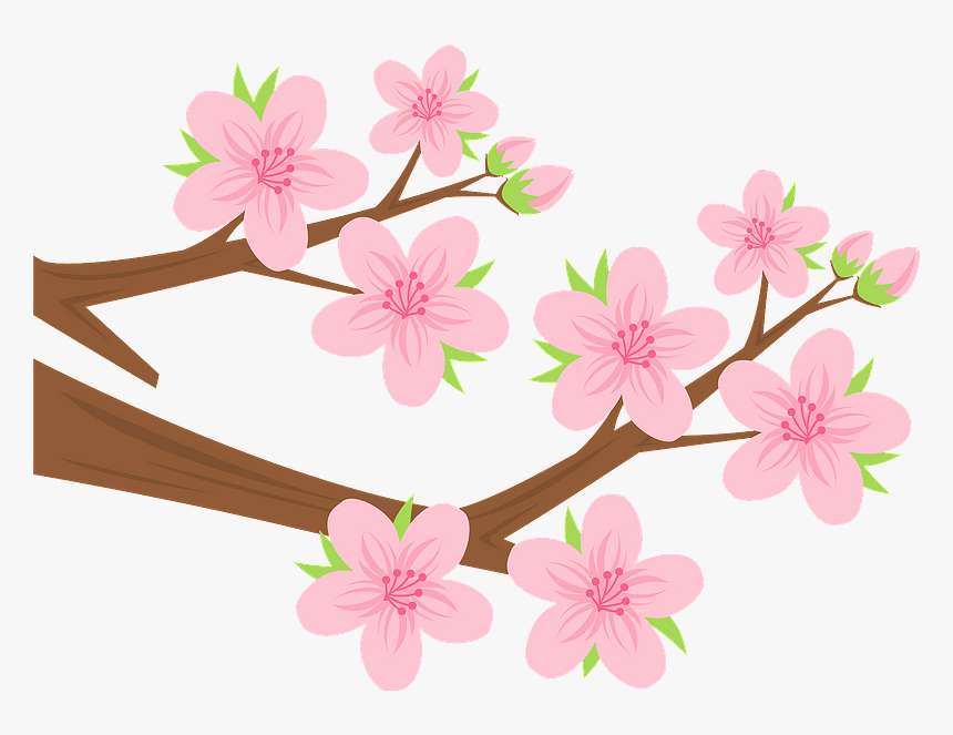 Peach Blossom Clipart - ひな祭り 桃 の 花 イラスト, HD Png Download, Free Download