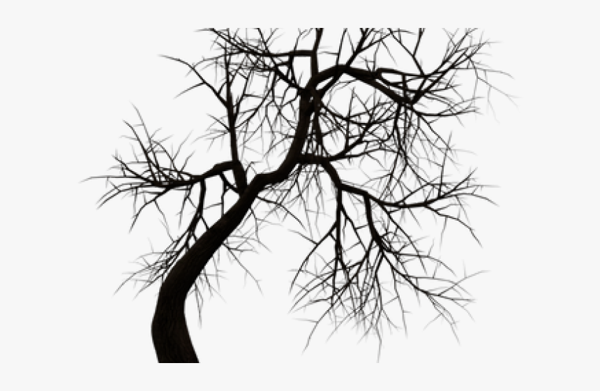 Dead Tree Silhouette - Tree Horror Png, Transparent Png, Free Download