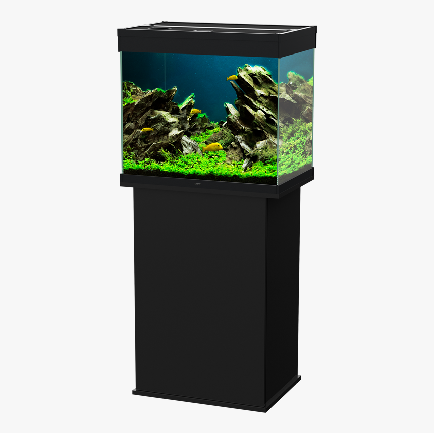 Aquarium Lighting, HD Png Download, Free Download