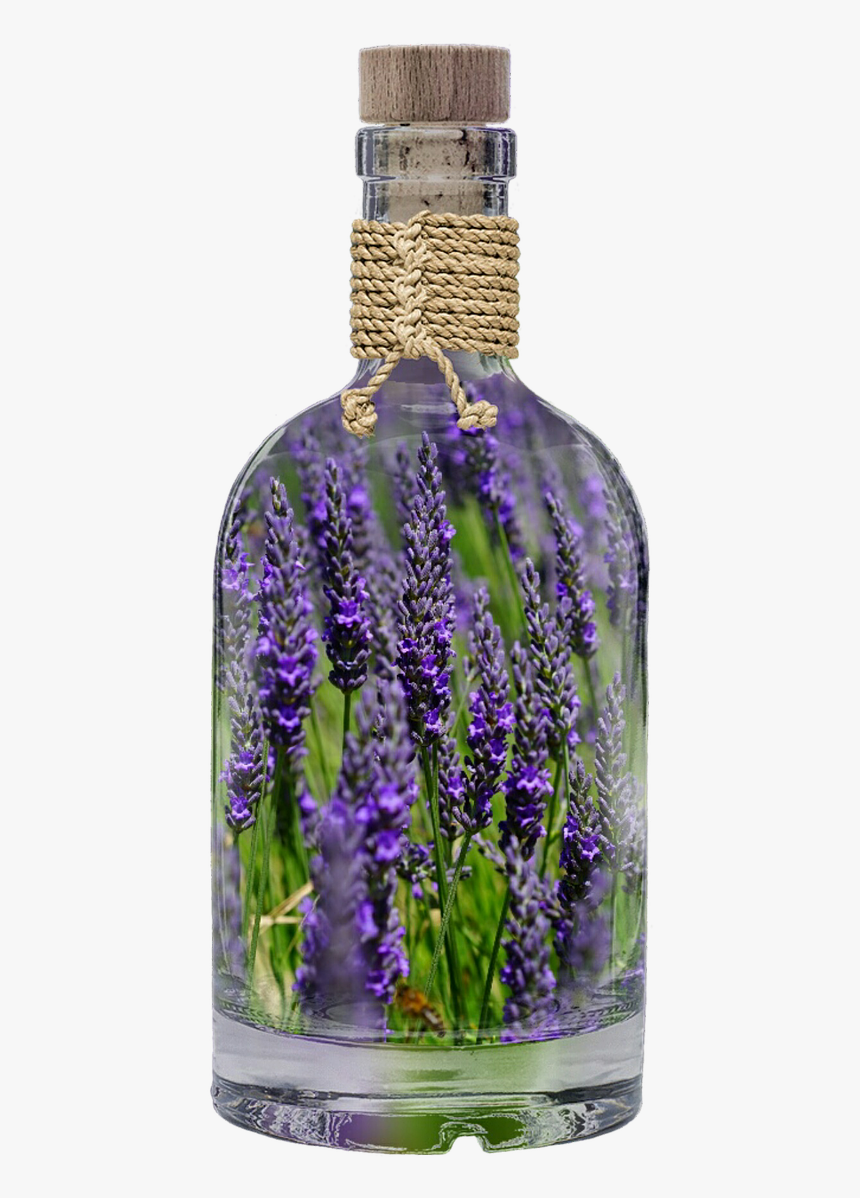 Lavender, HD Png Download, Free Download