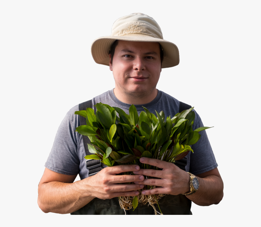 Front - Gardener, HD Png Download, Free Download