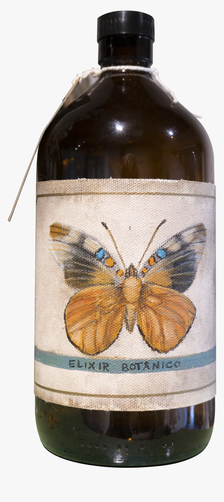 Moth, HD Png Download, Free Download