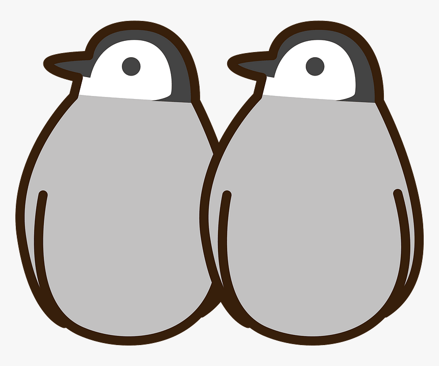 Emperor Penguin Chicks Clipart - Penguins, HD Png Download, Free Download